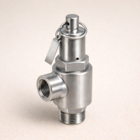 Предохранительный клапан ВР/ВР AISI 316L DN 25
